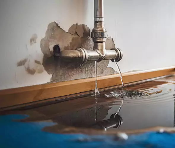 Professional Water Damage Restoration Experts in Rowlett, TX — Fast, Reliable & Certified