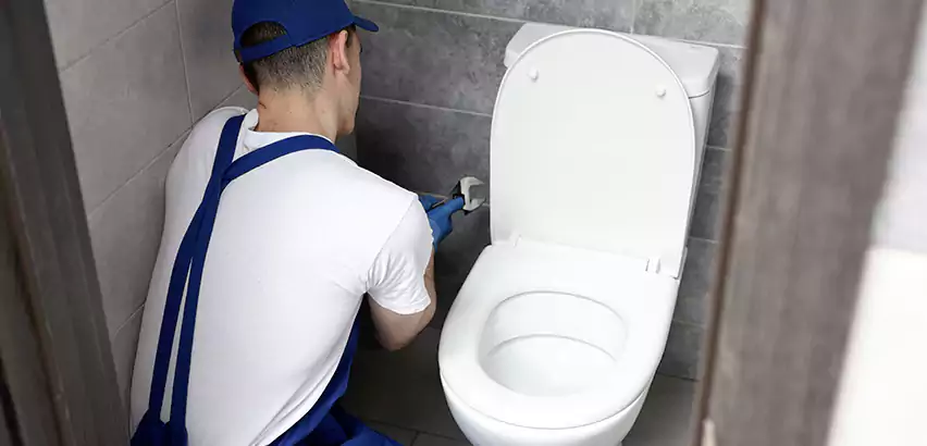 Toilet Lid Replacement in Rowlett