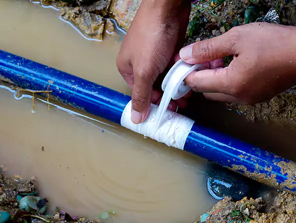  Why Choose Rowlett Plumbing Pro for Leak Detection in Rowlett, TX?]